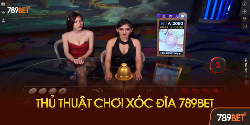Xóc Đĩa 789BET - Trò Chơi Dân Gian Đỉnh Cao Với Tỷ Lệ Thắng Hấp Dẫn 3 Bí kíp tăng tỷ lệ thắng xóc đĩa 789BET